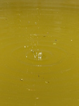 FZ005192 Drip into water basin.jpg